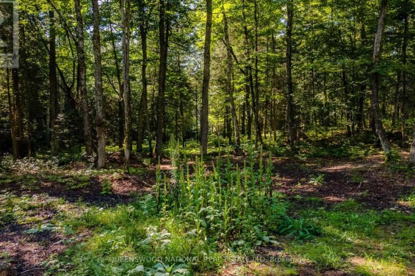 688 Prince Road E, Madawaska Valley, ON K0J2N0 Photo 4
