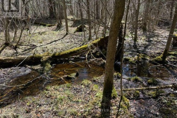 688 Prince Road E, Madawaska Valley, ON K0J2N0 Photo 5