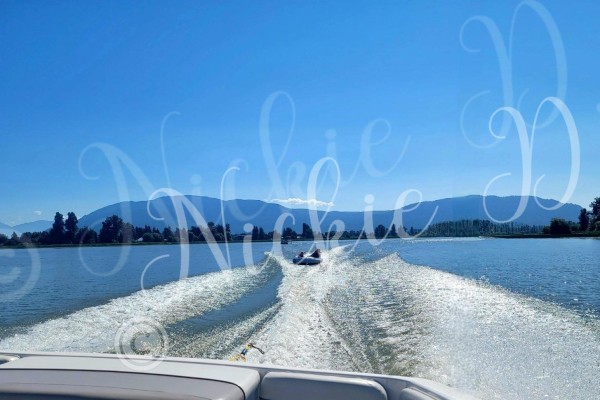 69 8400 Shook Road, Mission, BC V2V7L5 Photo 4
