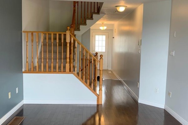 Interior view of townhouse entryway with hardwood floors, beige carpeted stairs, and light blue walls. - 69 Bloomington Drive, Cambridge