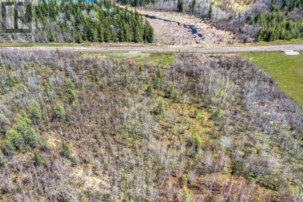 69 Clear Lake Road N, Kapuskasing, ON P5N2X7 Photo 4