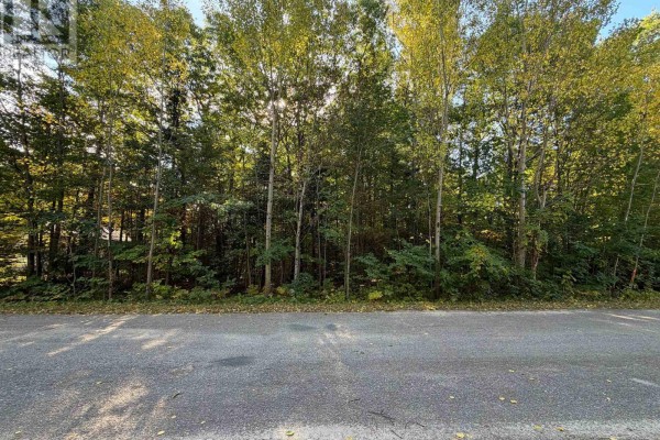 69 Pinecone Avenue, Tiny, ON L9M0J2 Photo 3