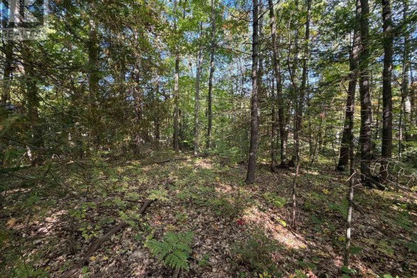 69 Pinecone Avenue, Tiny, ON L9M0J2 Photo 4