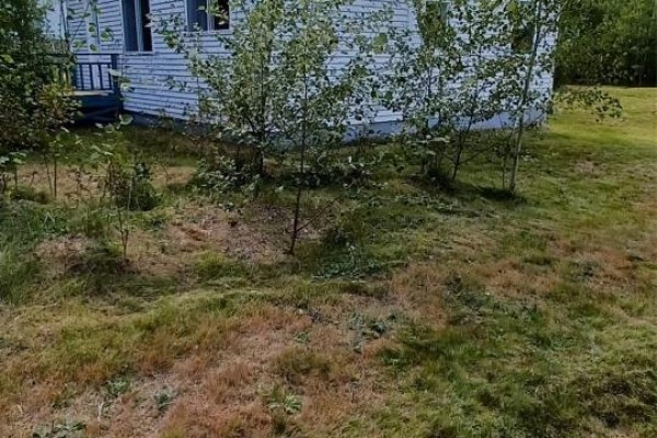 Bedroom - 69 White Boulevard, Sandringham, NL A0G3Y0 Photo 5