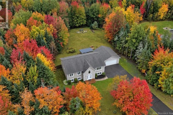 Aerial view of a house nestled among vibrant red, orange, and green autumn trees. - 69 Wildwood Way, Burton