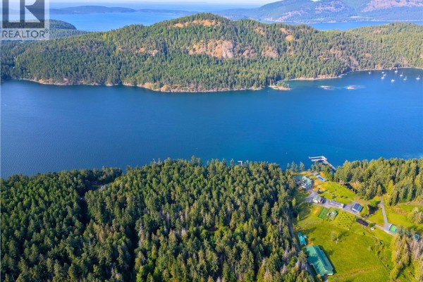 Aerial view of lush green land and water, showcasing the surrounding hills and coastline. - 6903 Shark Rd, Pender Island