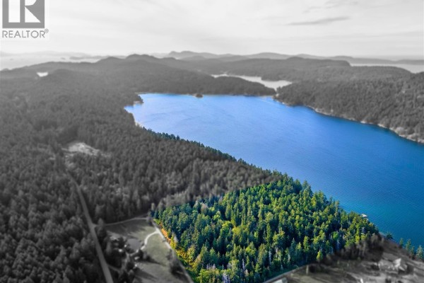 Black and white aerial view of forested land adjacent to blue water, highlighting the natural landscape. - 6903 Shark Rd, Pender Island