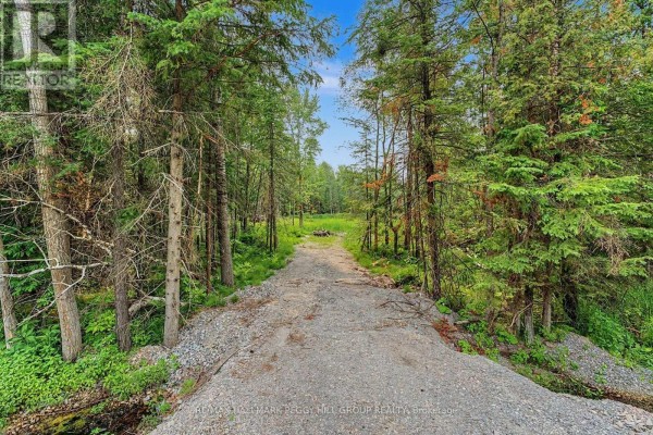 6905 County Road 21, Essa, ON L9R1V2 Photo 3