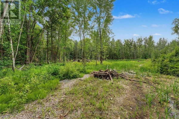 6905 County Road 21, Essa, ON L9R1V2 Photo 4