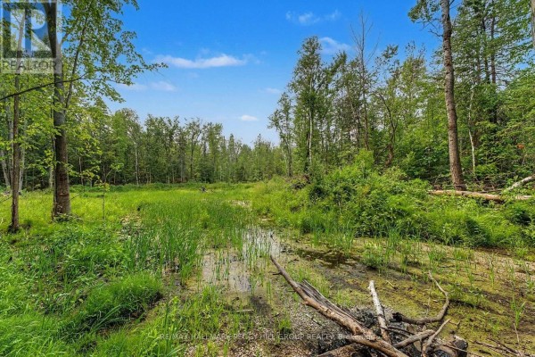 6905 County Road 21, Essa, ON L9R1V2 Photo 5