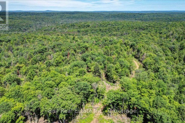 691 Bush Road, North Kawartha, ON K0L1A0 Photo 3