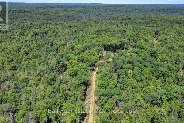691 Bush Road, North Kawartha, ON K0L1A0 Photo 4