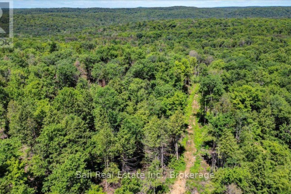 691 Bush Road, North Kawartha, ON K0L1A0 Photo 5