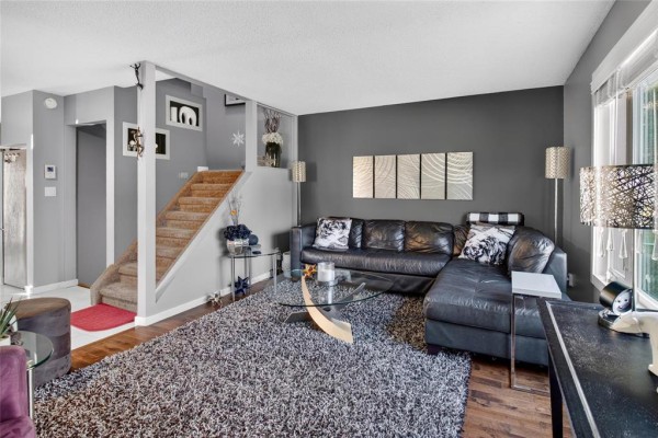 Recreation room - 692 Mcmeans Avenue E, Winnipeg, MB R2C3T1 Photo 5