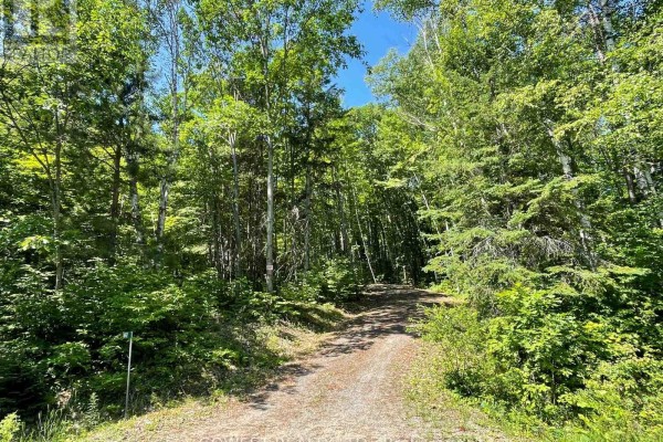 692 Mitchell Road, Madawaska Valley, ON, photo 2