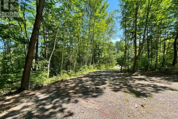 692 Mitchell Road, Madawaska Valley, ON, photo 3