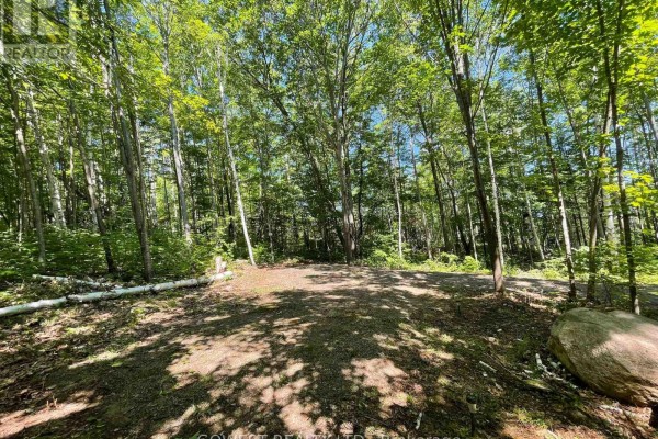 692 Mitchell Road, Madawaska Valley, ON K0J1B0 Photo 4