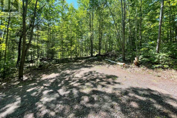 692 Mitchell Road, Madawaska Valley, ON K0J1B0 Photo 5