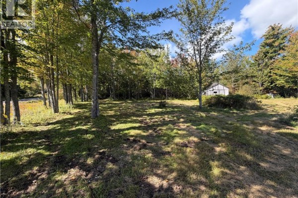 692 Weisner Road, Lakeville, NB E1H1T5 Photo 5