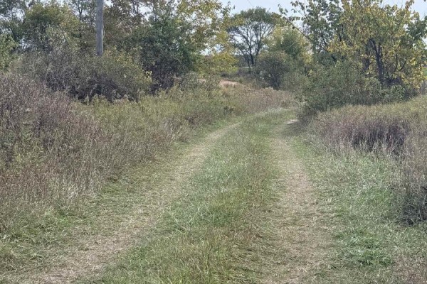 6949 Wellington 34 Road, Puslinch, ON N0B2C0 Photo 2