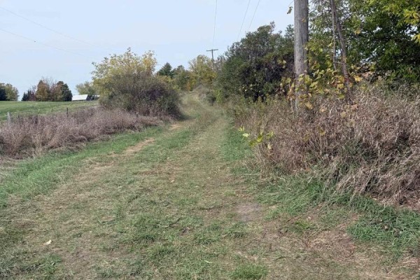 6949 Wellington 34 Road, Puslinch, ON N0B2C0 Photo 3