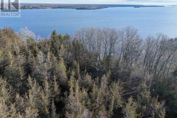 695 County Road 7, Prince Edward County, ON K0K2T0 Photo 5