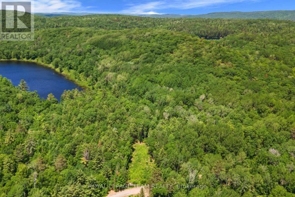 695 Long Lake Road, Madawaska Valley, ON K0J1B0 Photo 4