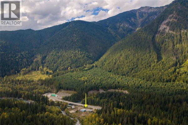 6950 Trans Canada Highway E, Revelstoke, BC V0E2S0 Photo 2