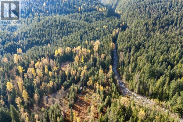 6960 Waverly Trail, Revelstoke, BC V0E2S0 Photo 2