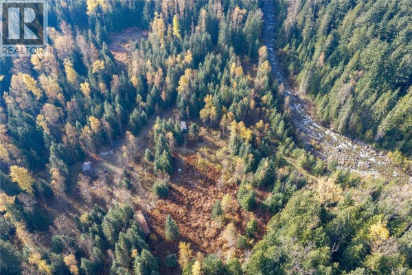 6960 Waverly Trail, Revelstoke, BC V0E2S0 Photo 3