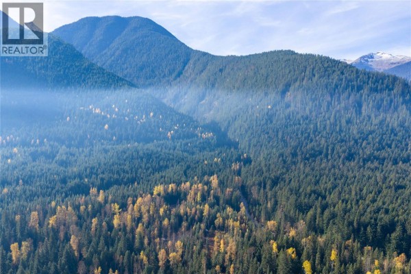 6960 Waverly Trail, Revelstoke, BC V0E2S0 Photo 5