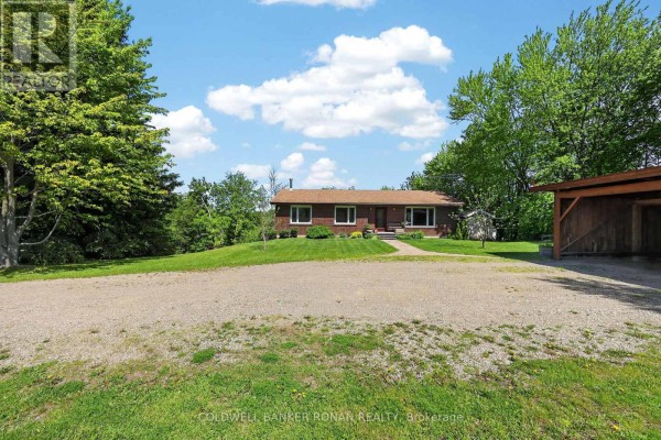 Family room - 6976 2nd Line, New Tecumseth, ON L0G1W0 Photo 4
