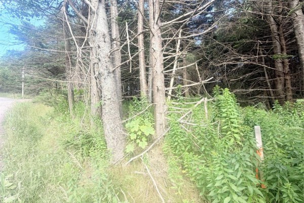 6a Big Pond Access Road, Burin, NL A0E1E0 Photo 2