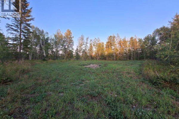 7, 654036 Rge Rd 222, Athabasca, AB T9S2A5 Photo 4
