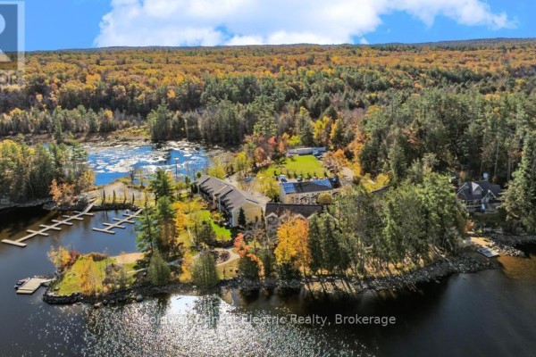 7 - 1579 Anstruther Lake Road, North Kawartha, ON K0L1A0 Photo 4