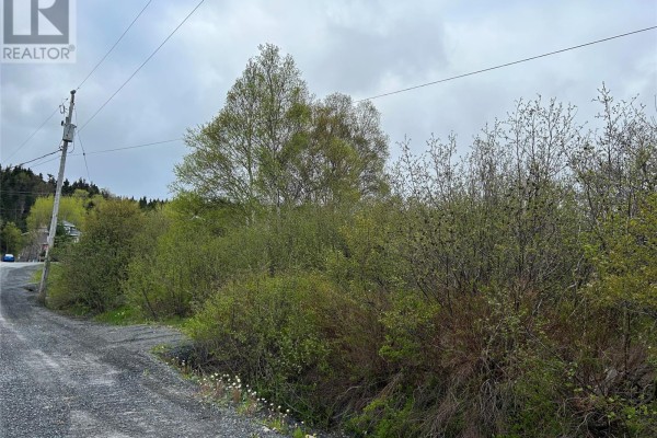 7 Beach Road, Clarenville, NL A5A4C9 Photo 4