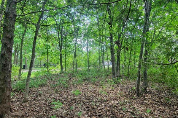 7 Beckenham Lane, Ottawa, ON K1J7J4 Photo 5