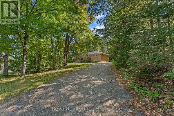 Bedroom 3 - 7 Forest Hill Road, Bancroft, ON K0L1C0 Photo 2