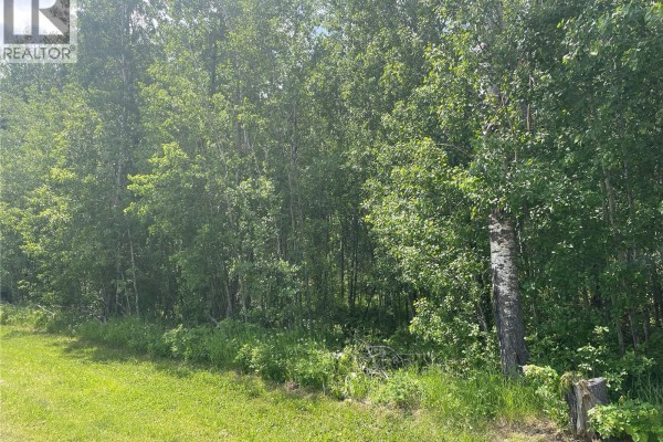 7 Fresno Street, Delaronde Lake, SK, photo 3