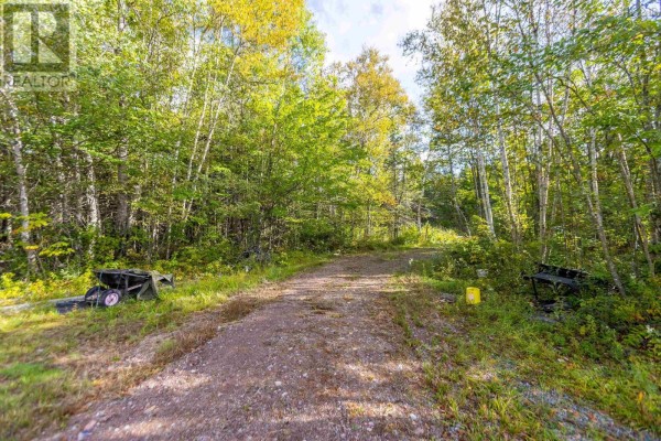 7 Goodwin Road, Chapman Settlement, NS B0L1E0 Photo 3
