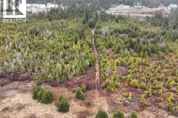 7 Highway, Ecum Secum, NS B0J2A0 Photo 2