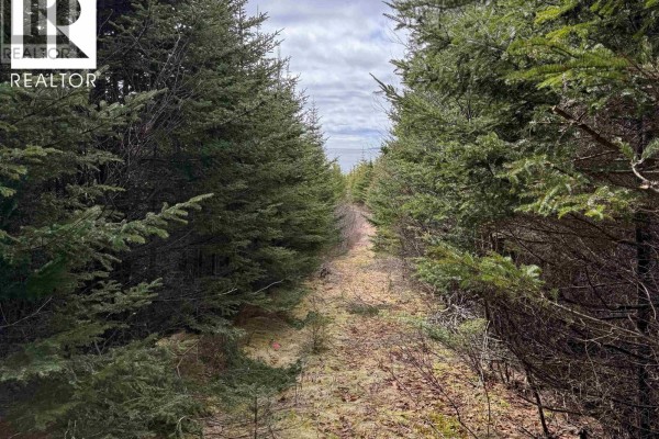 7 Highway, Ecum Secum, NS B0J2A0 Photo 3