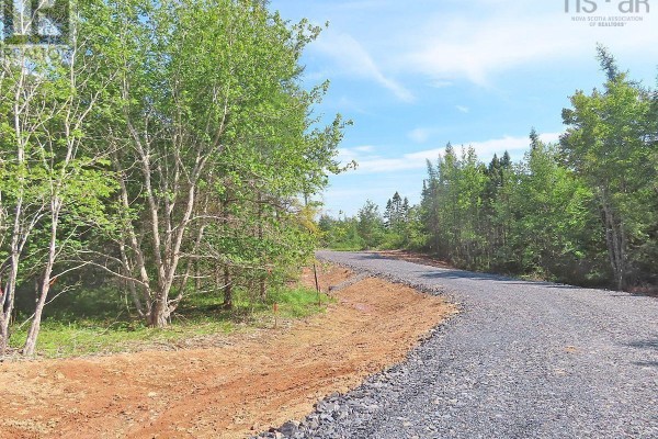 7 Lot Subdivision Regina Lane, Louisdale, NS B0E1K0 Photo 2