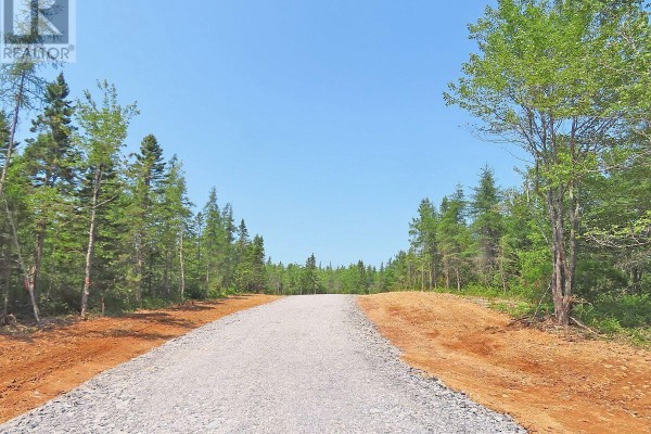 7 Lot Subdivision Regina Lane, Louisdale, NS B0E1K0 Photo 5