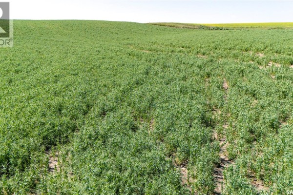 7 Quarters Grainland Near Coderre (strieb), Sutton Rm No  103, SK S0H0A5 Photo 4