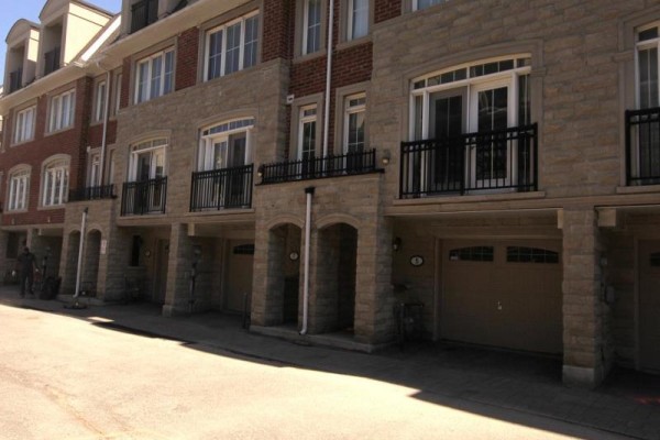 Kitchen - 7 Slingsby Lane, Toronto, ON M2N0H7 Photo 3