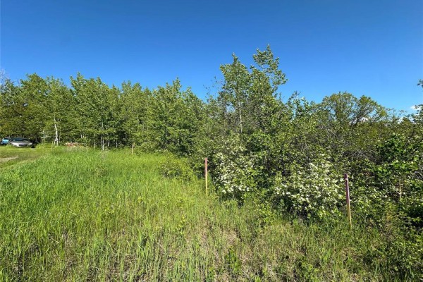 7 Thomas Cove, Lakeshore Heights, MB R0E0T0 Photo 4