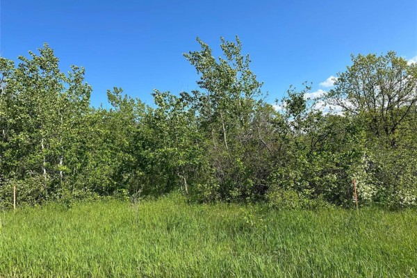 7 Thomas Cove, Lakeshore Heights, MB R0E0T0 Photo 5