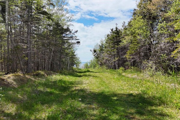 7.5 Acre Highway 4, Red Islands, NS, photo 3
