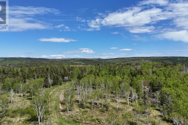 7.5 Acre Highway 4, Red Islands, NS B0E3B0 Photo 5